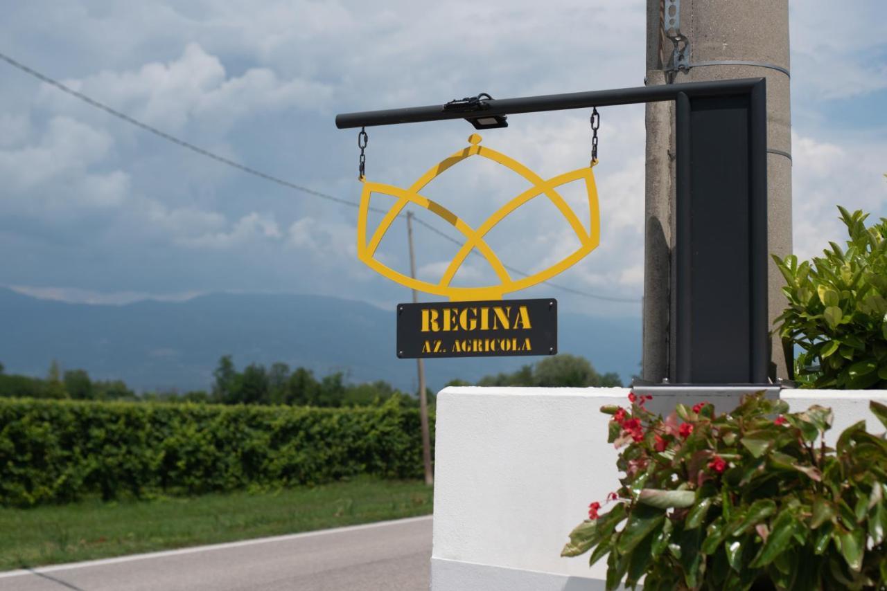 Regina Nel Cuore Del Veneto Codogne Luaran gambar